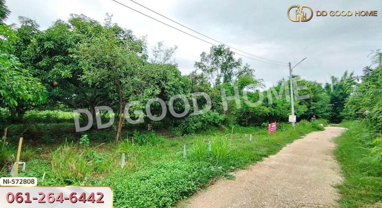 ที่ดิน แก่งคอย 65.5 ตร.ว. สระบุรี ใกล้วัดบ้านโป่ง, ภาพที่ 4