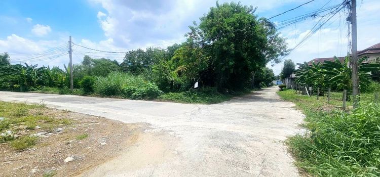 ขาย ที่ดิน พุทธมณฑลสาย1 ตลิ่งชัน กทม.ซ.35 190 ตร.วา แปลงสวย บรรยากาศดี, ภาพที่ 4
