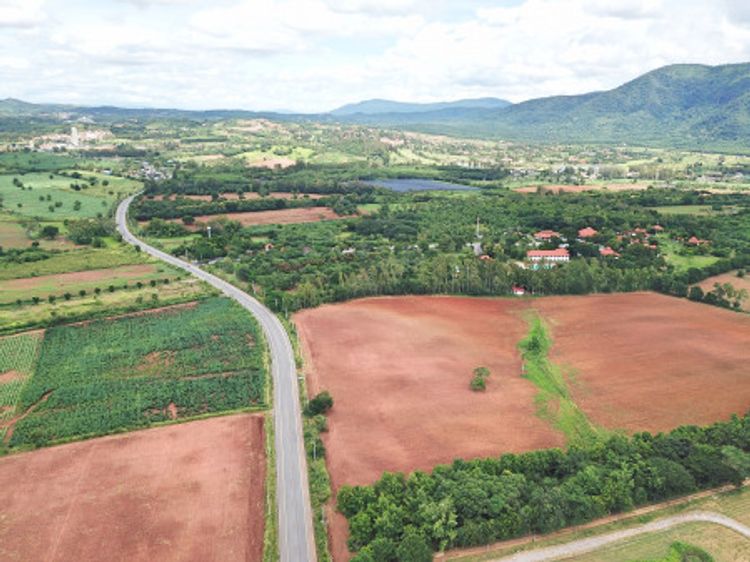 ขาย ที่ดิน เขาใหญ่ ต.หมูสี อ.ปากช่อง 195 ไร่ วิวสวยเกินคำบรรยาย, ภาพที่ 4