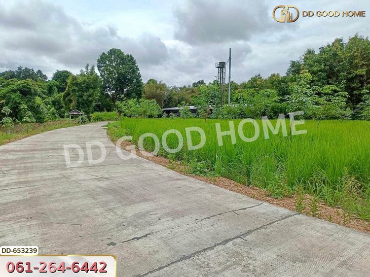 ที่ดินเชียงกลาง 5 ไร่ 338.2 ตร.ว. น่าน ใกล้วัดกลาง น่าน, ภาพที่ 4