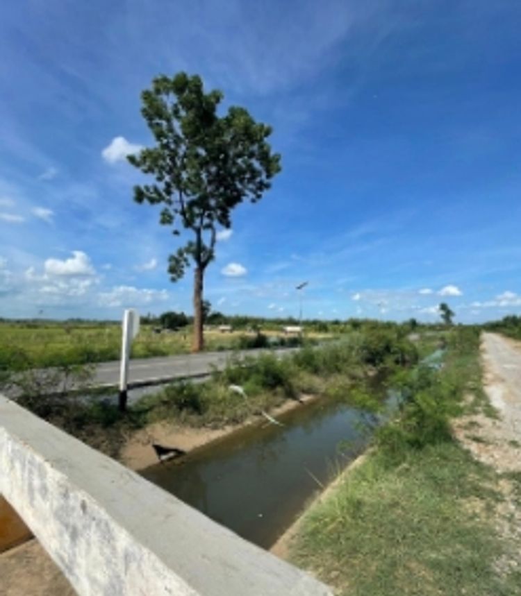 ขาย ที่ดิน ตำบลห้วยม่วง อำเภอกำแพงแสน จังหวัดนครปฐม, ภาพที่ 4