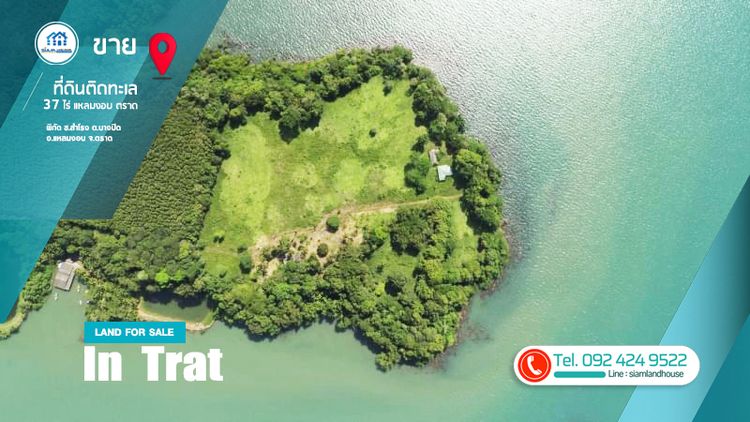 ซื้อแล้วเหมือนได้เกาะส่วนตัว ใกล้เกาะช้าง,  ที่ดินเปล่า 37 ไร่ ติดทะเล, ภาพที่ 4
