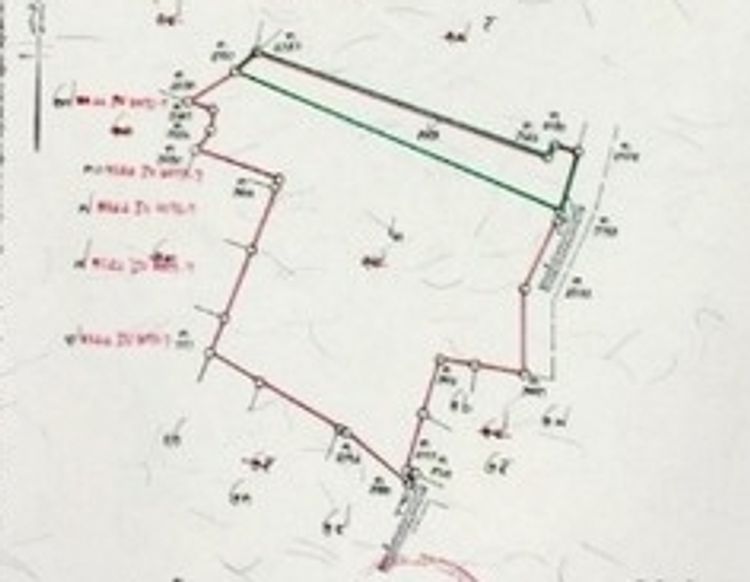 NT339 ขายที่ดิน 11 ไร่ ผังม่วง อ.เมือง หนองคาย  , ภาพที่ 4