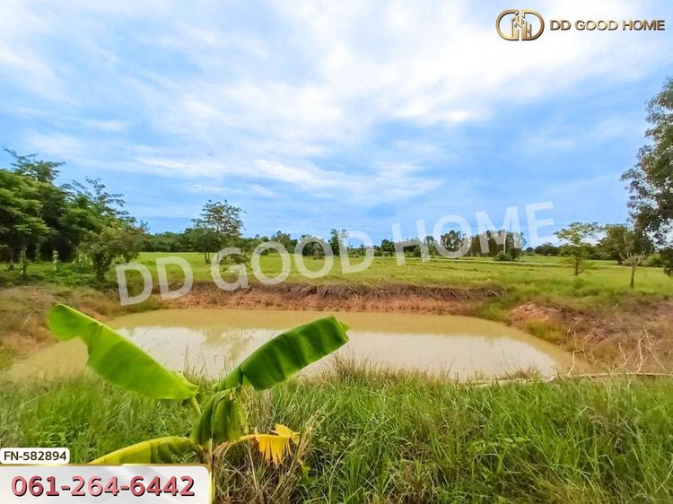 ที่ดินดอนเจดีย์ 1 ไร่ 352 ตร.ว. สุพรรณบุรี ใกล้วัดดอนเจดีย์, ภาพที่ 4