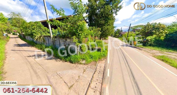 ที่ดินภูเรือ 2 ไร่ 368 ตร.ว. เลย ใกล้อุทยานแห่งชาติภูเรือ, ภาพที่ 4