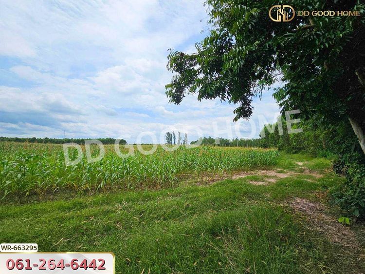 ที่ดินศรีมหาโพธิ 44 ไร่ 178 ตร.ว. ปราจีนบุรี ใกล้นิคมโรจนะปราจีนบุรี, ภาพที่ 4