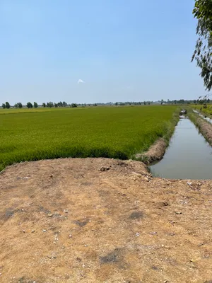 ที่ดินสุพรรณบุรี