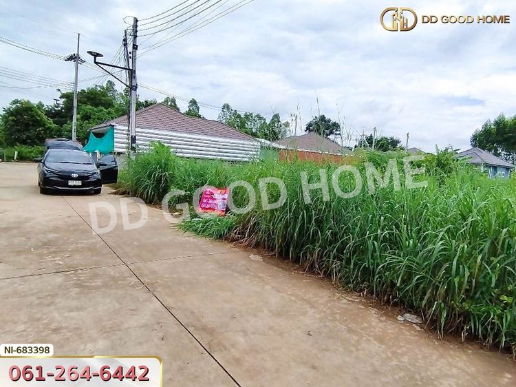 ที่ดินศรีมหาโพธิ 186 ตร.ว. ปราจีนบุรี ใกล้โรงเรียนบ้านโป่งไผ่, ภาพที่ 4