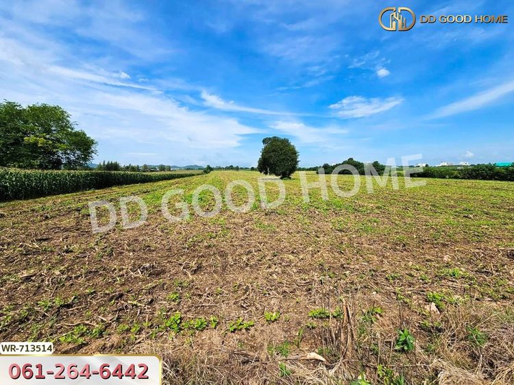 ที่ดินพัฒนานิคม 23 ไร่ 255.3 ตร.ว. ลพบุรี ใกล้วัดราษฎร์มงคล, ภาพที่ 4