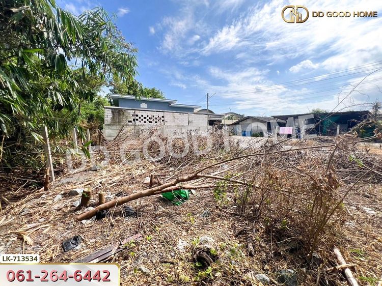 ที่ดินกระทุ่มแบน 74 ตร.ว. สมุทรสาคร ใกล้โรงพยาบาลกระทุ่มแบน, ภาพที่ 4