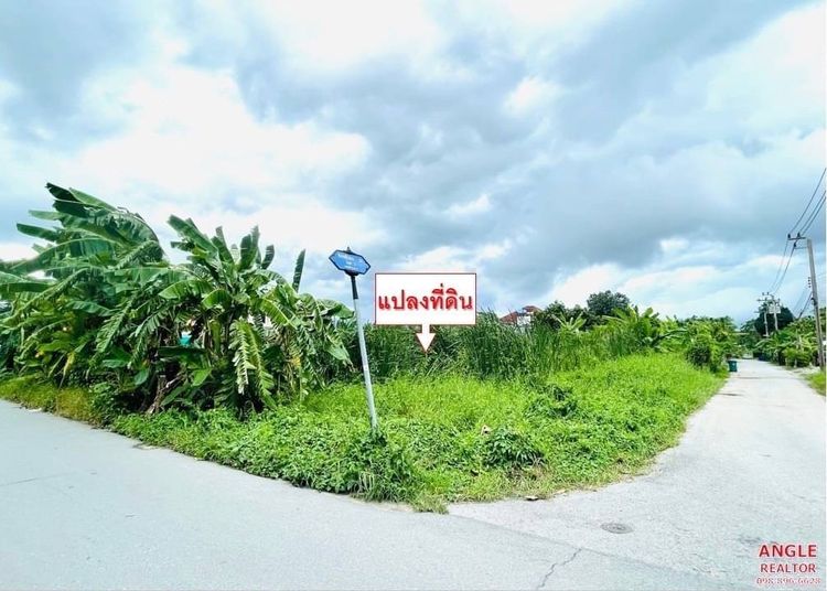 ขายที่ดิน หลายเหลี่ยม แปลงหัวมุม 160 ตรว. เหมาะสำหรับสร้างบ้าน หอพัก, ภาพที่ 4