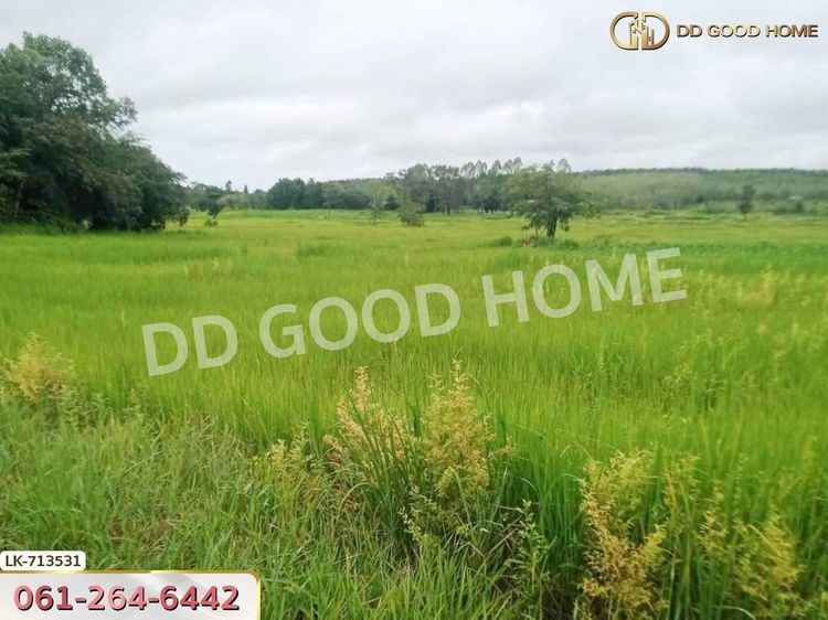 ที่ดินธาตุพนม 6 ไร่ 381.4 ตร.ว. นครพนม ใกล้โรงเรียนอุ่มเหม้า วิทยาคาร, ภาพที่ 4