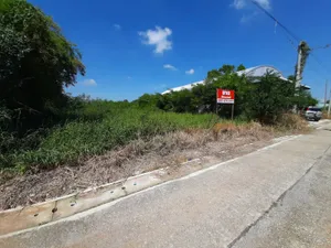 ขายที่ดิน ขนาด 100 ตร.ว. ใกล้ทางหลวง 304  ต.ดอนทราย อ.บ้านโพธิ์ จ.ฉะเชิงเทรา