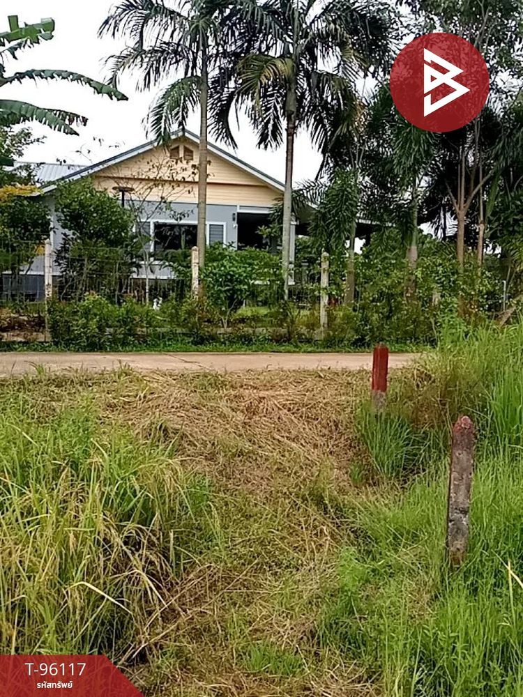 ขายที่ดิน เนื้อที่ 2 งาน นาดี ปราจีนบุรี, ภาพที่ 4