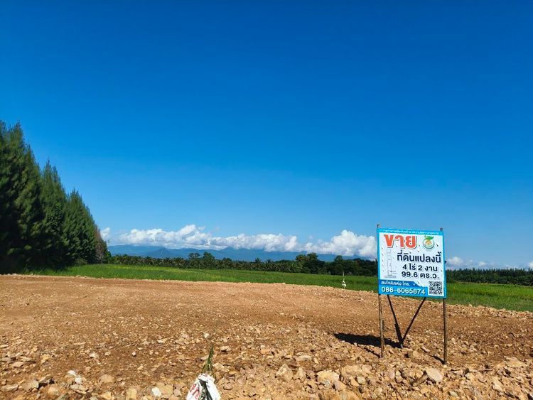 ขาย ที่ดิน วิวสวย ติดถนนเทิดพระเกียรติที่ดิน 4 ไร่ 2 งาน 99.6 ตร.วา, ภาพที่ 4