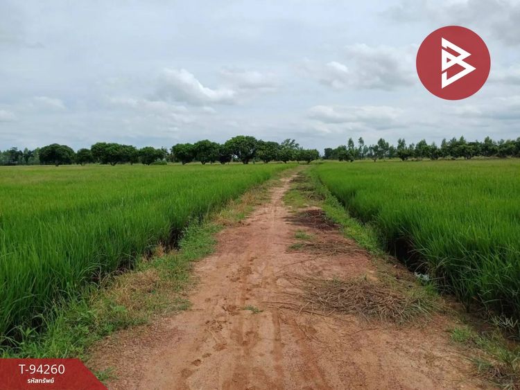 ขายด่วนที่ดินเปล่า เนื้อที่ 64 ไร่ 2 งาน 88 ตร.วา วังทรายพูน พิจิตร, ภาพที่ 4