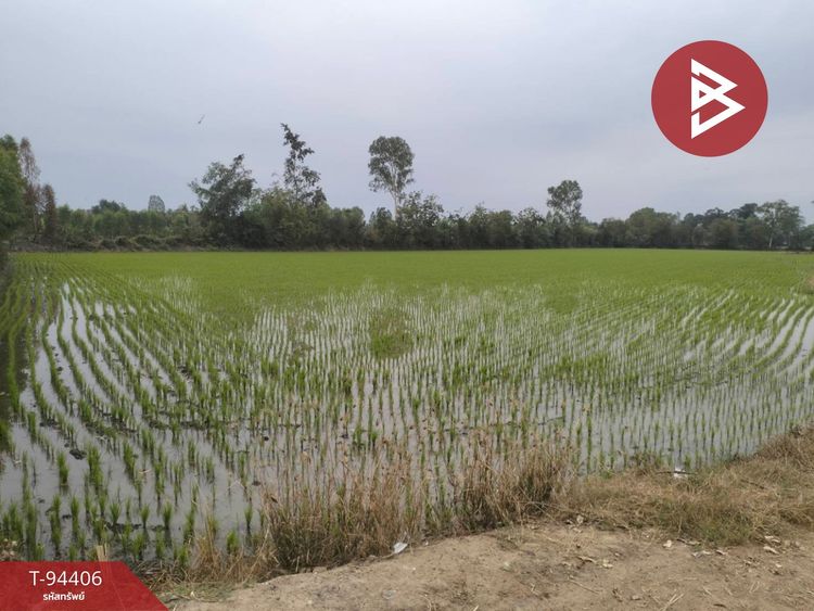 ขายที่ดินเปล่าด่วน เนื้อที่ 25 ไร่ 2 งาน 1 ตร.วา โพทะเล พิจิตร, ภาพที่ 4