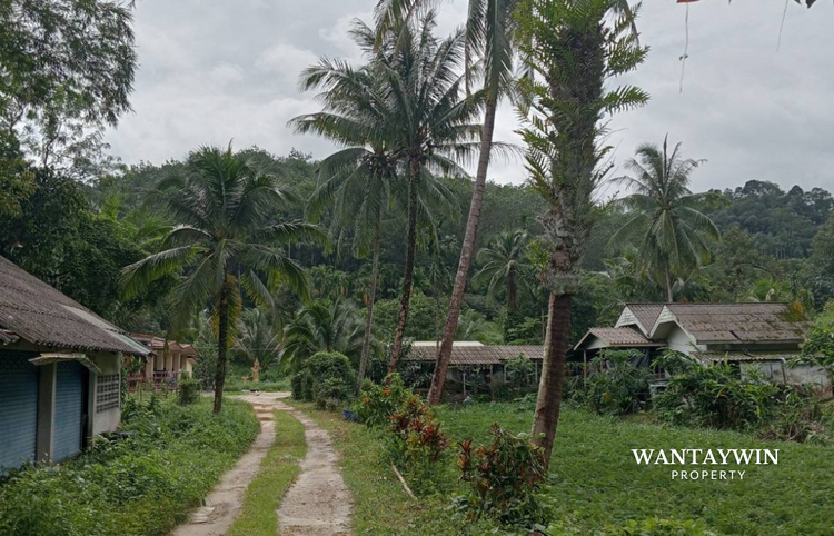 ที่ดินระนอง วิวภูเขา ติดถนน พร้อมบ้าน 3 หลัง ต.หาดส้มแป้น อ.เมืองระนอง , ภาพที่ 4