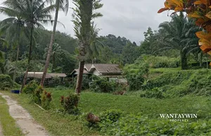 ที่ดินระนอง วิวภูเขา ติดถนน พร้อมบ้าน 3 หลัง ต.หาดส้มแป้น อ.เมืองระนอง จ.ระนอง 