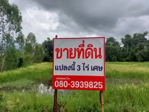ขายที่ดินอยู่ในอำเภอเพ็ญ จ.อุดรธานี