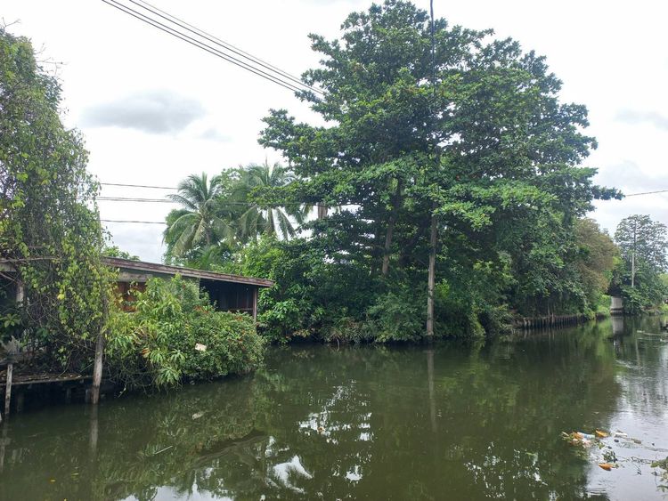 ขายคอนโด บ้านสวนริมน้ำ พระราม2-33 แยก7 เนื้อที่ 25.77 ตรม. ขายถูก, ภาพที่ 4