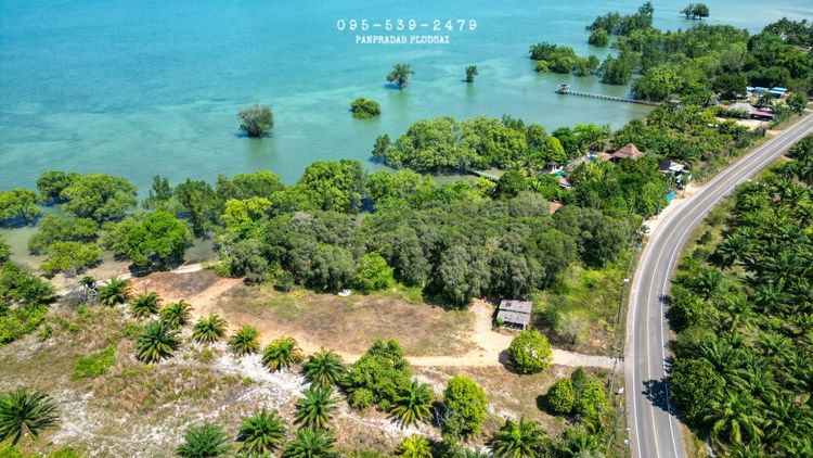 ที่ดินติดทะเล เขาทอง จ.กระบี่ 🏝, ภาพที่ 4