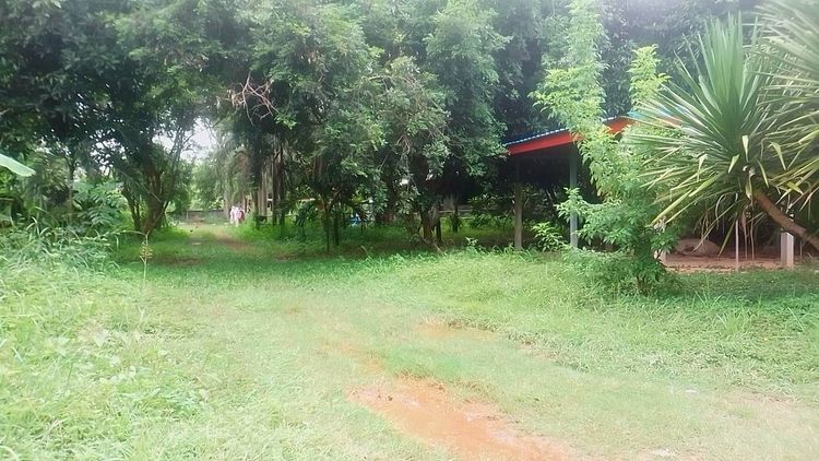 🏡ขายรีสอร์ท พร้อมที่ดิน พื้นที่ 2 ไร่ 45 ตารางวา  อ.ห้วยผึ้ง, ภาพที่ 4