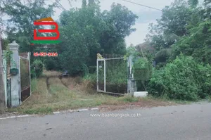 ที่ดินพร้อมบ้าน ซอยสนามกอล์ฟ อัลไพน์ กอล์ฟคลับ (คลอง5) เนื้อที่ 29-0-11.5 ไร่ ถนนปท.3010 อ.คลองหลวง จ.ปทุมธานี