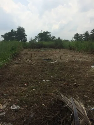 ขายที่ดิน สำหร้บปลูกบ้านพักอาศัย (เจ้าของขายเอง) โฉนดตราครุฑแดง