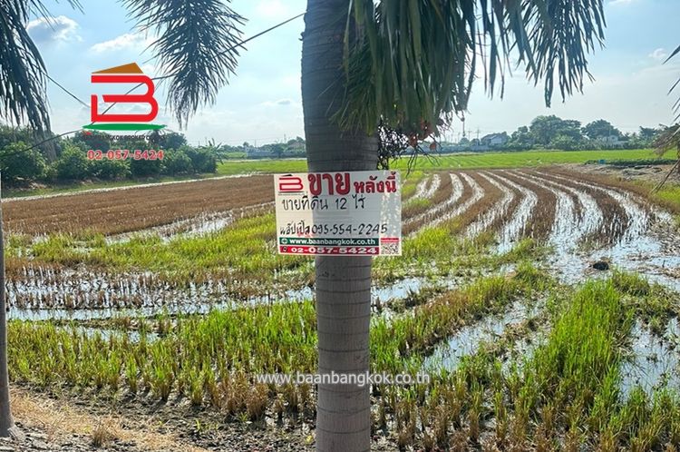 ที่ดินเปล่า บางคูรัด บางบัวทอง เนื้อที่ 12-2-7 ไร่ ถนนกาญจนาภิเษก, ภาพที่ 4