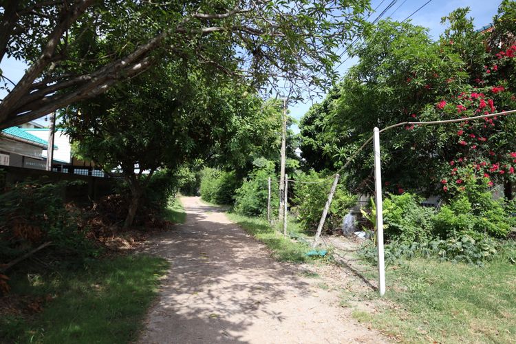 ขาย / ให้เช่า ด่วน ตามสภาพ !!!  บ้านพร้อมที่ดิน และบ้านพัก ขนาดพื้นที่ , ภาพที่ 4