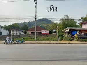 ขายถูก ที่ดินเทิง เชียงราย