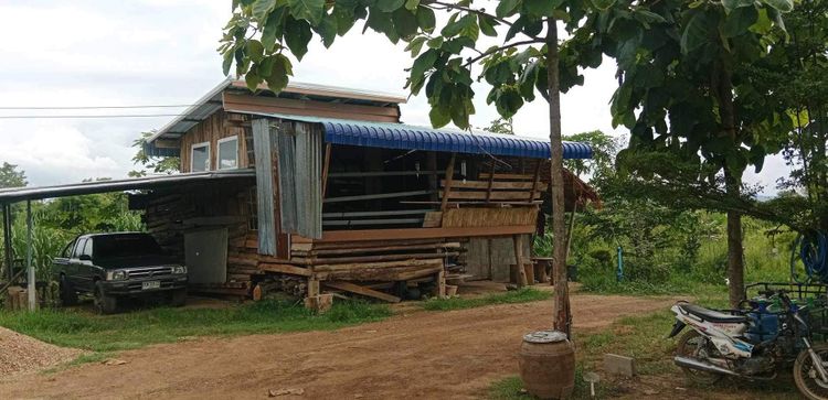 ขายที่ดินเหมาะสำหรับทำโคกหนองนาหรือทำไร่สวน, ภาพที่ 4
