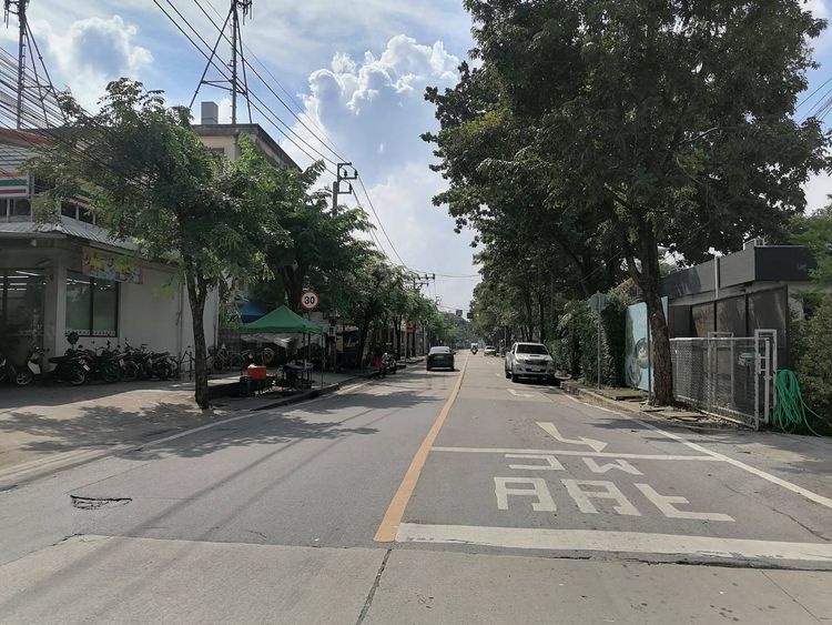 ขายที่ดินนครลุง2แยก5กทม.เข้าทางซอยวัดบุญประดิษฐ์ สาย2หรือม.เศรษฐกิจ, ภาพที่ 4