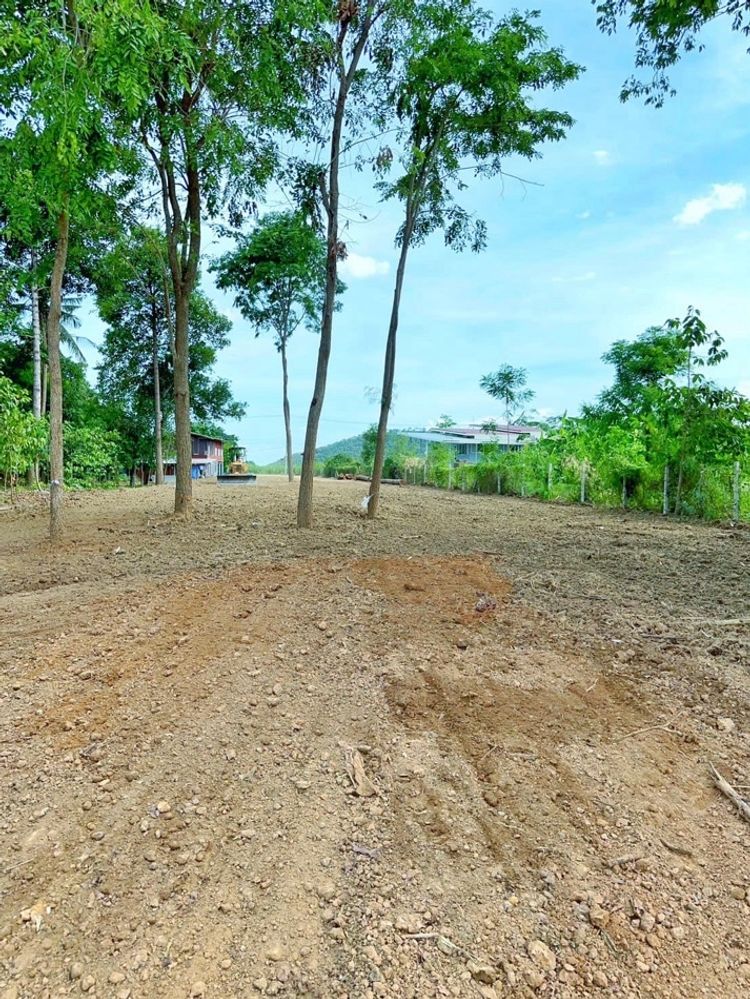 ขาย ที่ดิน ราคาถูก ขายที่ดินติดริมน้ำ จ.สุพรรณบุรี  398.5 ตร.วา, ภาพที่ 4