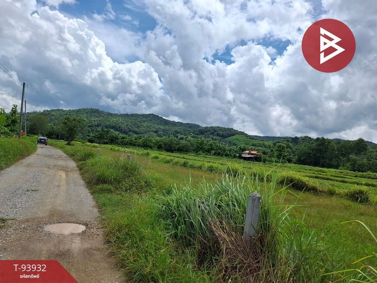 ขายที่ดินเปล่าติดถนนหลัก เนื้อที่ 2 ไร่ 95 ตร.วา เทิง เชียงราย, ภาพที่ 4