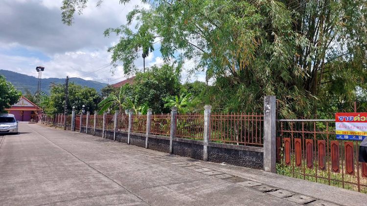 ที่ดินสวย พร้อมสร้างบ้าน กลางเมืองแม่จัน, ภาพที่ 4