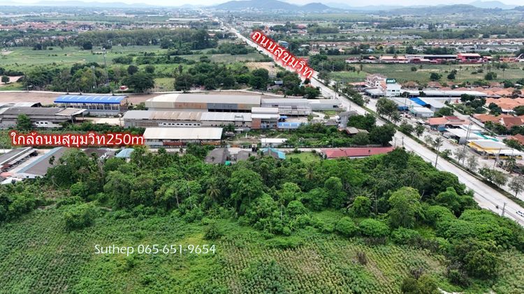 ขายที่ดิน 5 ไร่ ราคาต่ำกว่าตลาด 60% 250 เมตร บ้านฉาง ระยอง , ภาพที่ 4