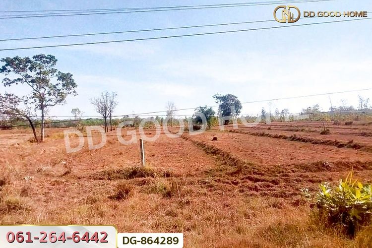 DG-864289 ที่ดินพรรณานิคม 14 ไร่ 196 ตร.ว. สกลนคร ใกล้วัดป่าแสนสุข, ภาพที่ 4