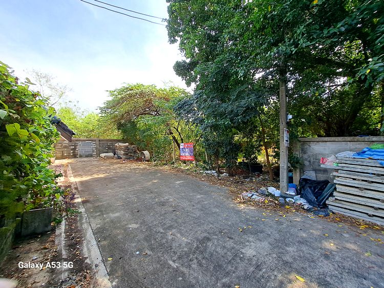 ขายที่ดินเปล่า 78 ตร.ว. หมู่บ้านทิมเรืองเวช พหลโยธิน 48 (ซอยสายหยุด), ภาพที่ 4