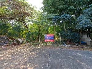 ขายที่ดินเปล่า 78 ตร.ว. หมู่บ้านทิมเรืองเวช พหลโยธิน 48 (ซอยสายหยุด)