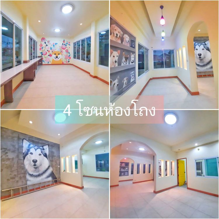 ขาย โฮมออฟฟิศ ย่านม.แม่โจ้ อ.สันทราย จ.เชียงใหม่, ภาพที่ 4