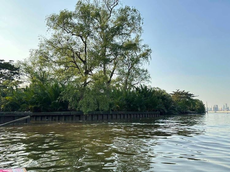 ขายที่ดิน (ติดแม่น้ำเจ้าพระยา) ตำบลบางกอบัว อำเภอพระประแดง, ภาพที่ 4