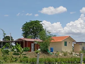 ขายบ้านสวน วิวสวย  อ.บ้านไร่ อุทัยธานี(เจ้าของขายเองจะย้ายไปอยู่กับลูก ตจว.)   มาตอนนี้ได้ข้าวไร้เบอรี่อายุ2เดือน1ไร่
