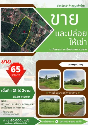 📌📌ด่วน!! ขาย/ปล่อยเช่า ที่ดิน ขนาดพื้นที่ 21ไร่ 2งาน 55.8ตารางวา อ.เมืองตราด จ.ตราด 