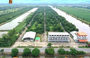 โครงการ บ้านสวน คลอง 10 กม.5.5 ต.บึงบา อ.หนองเสือ จ.ปทุมธานี ที่ดินถมแล้ว ผืนสวย ราคาถูก
