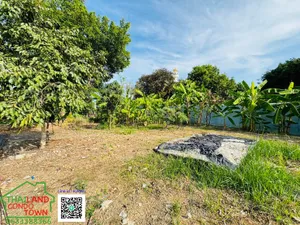 Rare item ‼️แปลงสวยหายาก ‼️ ที่ดิน 196 ตร.ว. ศรีนครินทร์ 55 เหมาะสร้างบ้านหรู ใกล้รถไฟฟ้า เดินทางสะดวก