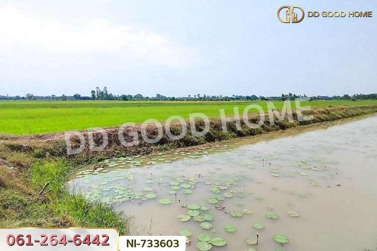 NI-733603 ที่ดินสามโก้ 14 ไร่ 84.3 ตร.ว. อ่างทอง โรงพยาบาลสามโก้, ภาพที่ 4
