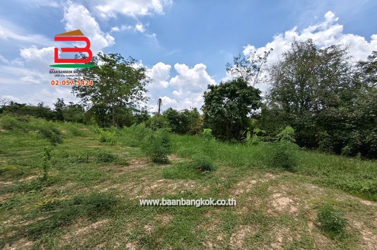 ที่ดินเปล่า ถมแล้ว เนื้อที่ 2 ไร่ พนมสารคาม-สนามชัยเขต ซ.3 ตำบลท่าถ่าน, ภาพที่ 4