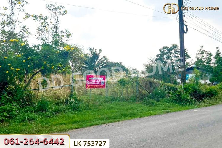 LK-753727 ที่ดินปากพลี 5 ไร่ 255.4 ตร.ว. นครนายก ใกล้วัดดงแขวน, ภาพที่ 4